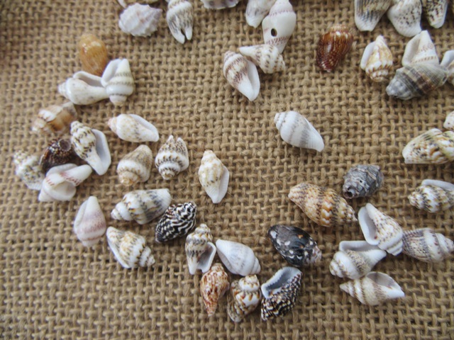 100g Natural Shell Bead Charm Jewelry Craft Assorted Design [sh-p23 ...