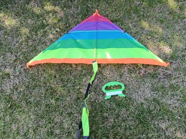 10Pcs Vivid Stunt Triangle Kite Lines Reel Outdoor Games 58cm 10 Pcs ...