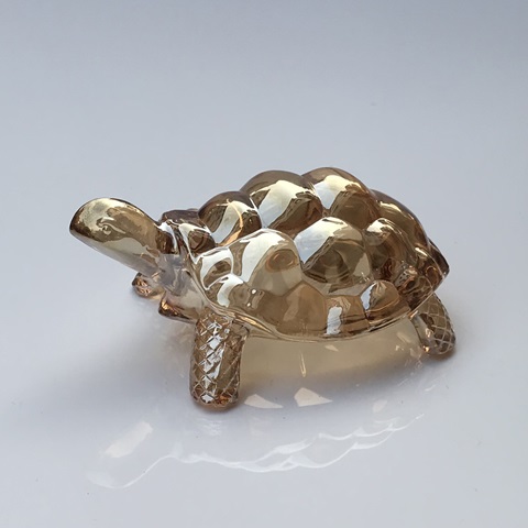 Ring display case front view