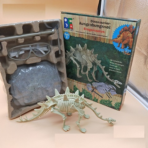 Ring display case front view